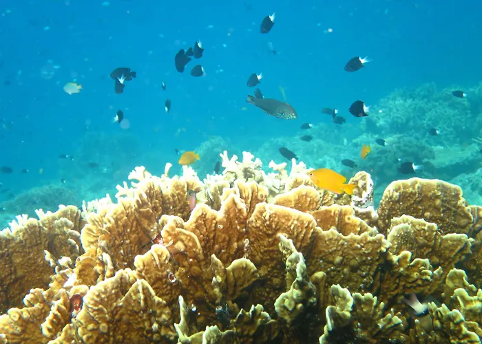 Adi Assri And Resort Pemuteran